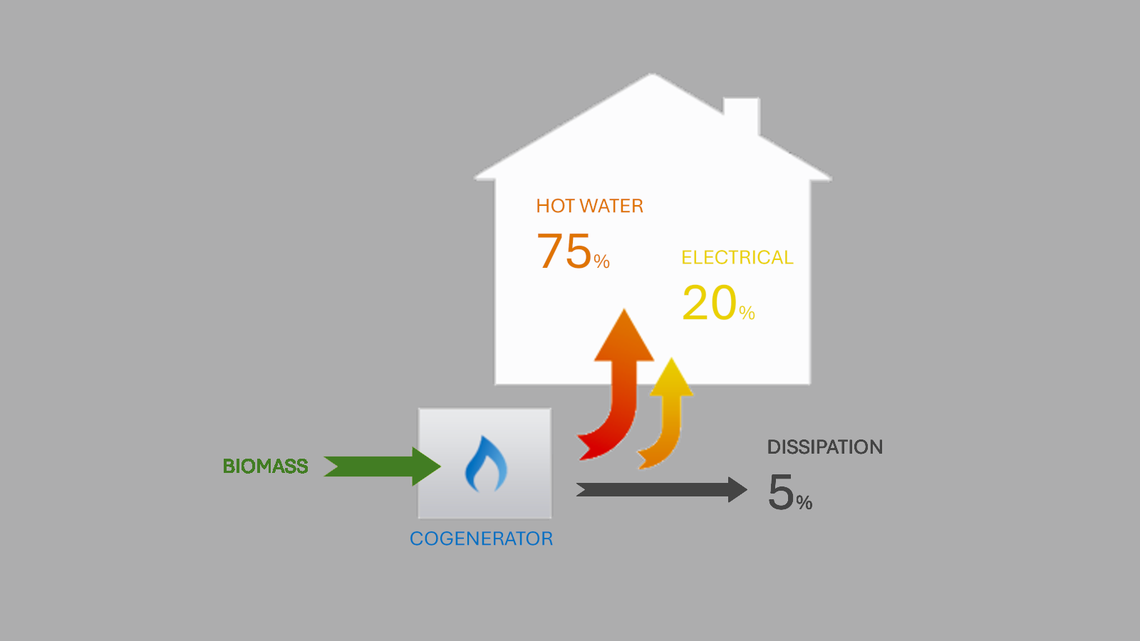 Produzione simultanea di energia elettrica e calore