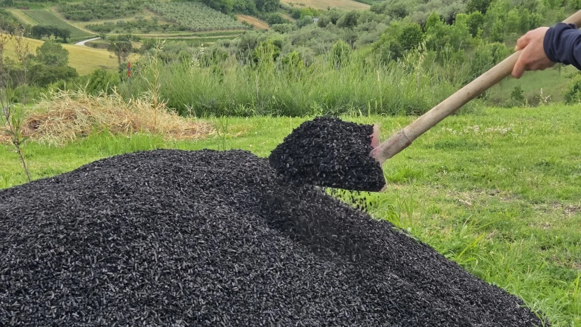 BioGS Char - Ammendante agricolo ad uso biologico